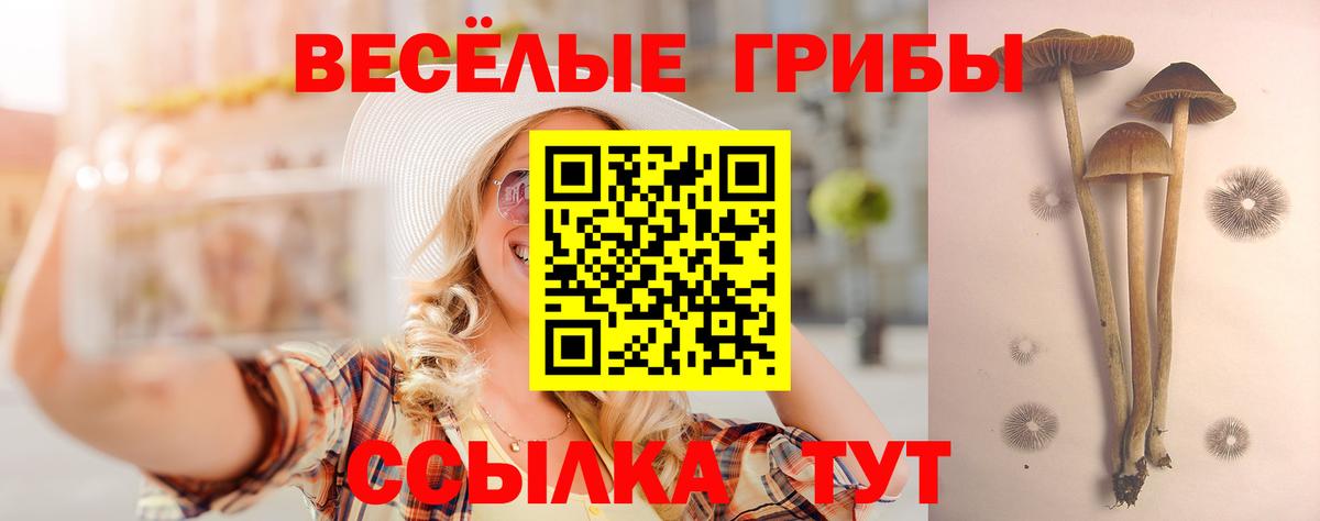 Галлюциногенные грибы MAGIC MUSHROOMS Артёмовский
